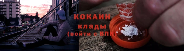 хмурый Алексин
