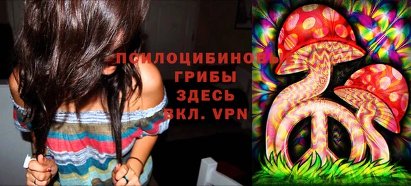 ALPHA PVP Алексеевка