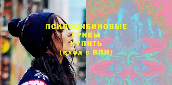 хмурый Алексин